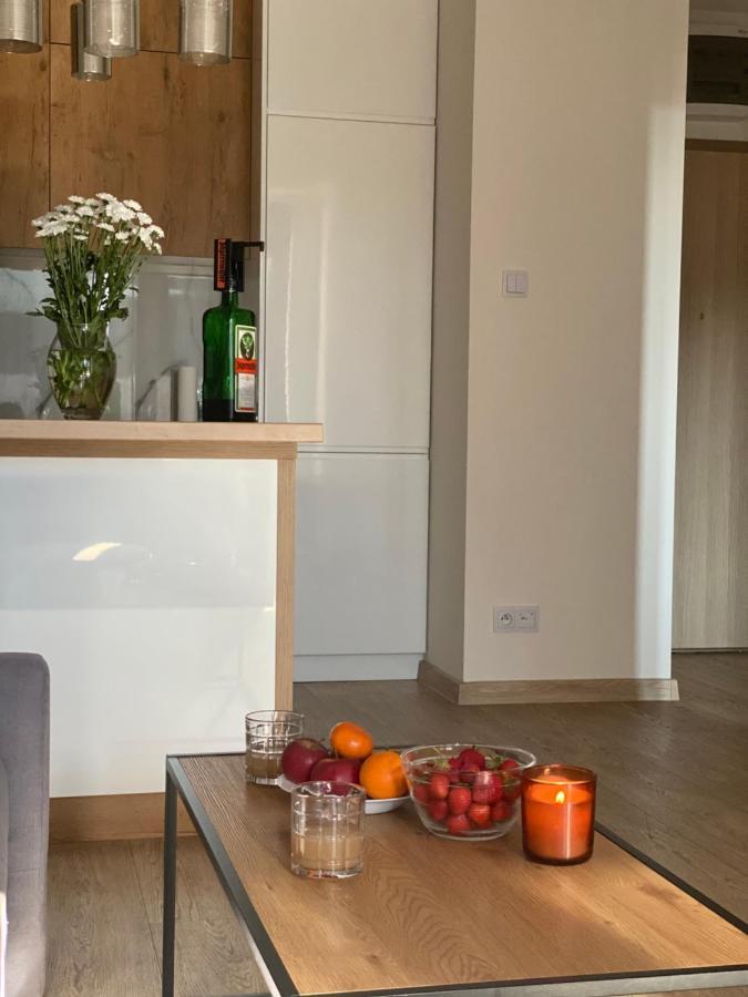 גורז'וב ווילקופולסקי Modern Apartments & Free Parking מראה חיצוני תמונה